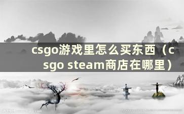 csgo游戏里怎么买东西（csgo steam商店在哪里）